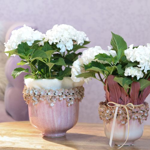 daiktų Keraminis vazonas su gėlių kraštu Rožinė Ø19cm H16,5cm