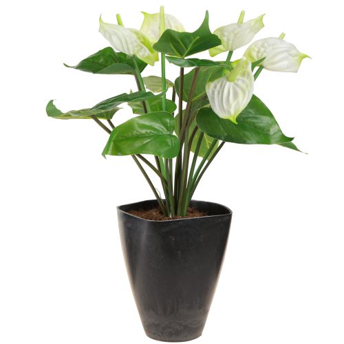 daiktų Orchidėjų vazonas gėlių vazonas plastikinis antracitas 13,5x13x16,5cm 4vnt