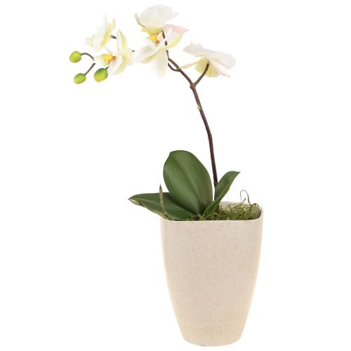 Floristik24 Orchidėjų vazonas gėlių vazonas plastikinis smėlio spalvos margas 13,5x13cm A16,5cm 4vnt.