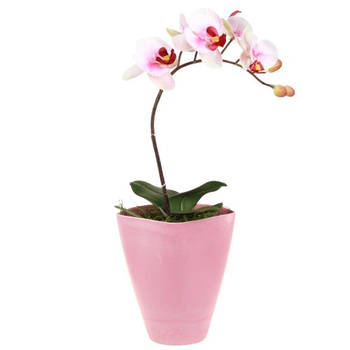 daiktų Vazonas plastikinis vaza orchidėjų vazonas rožinis H16,5cm 4vnt