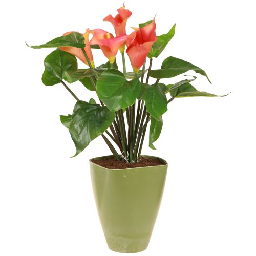 daiktų Orchidėjų vazonas gėlių vazonas plastikinis vaza žalias H16,5cm 4vnt