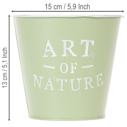 Cinko vazonas, mėtinės žalios spalvos, Ø15 cm, aukštis13,5 cm | Floristik24.lt