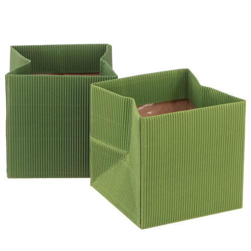 Floristik24 Gėlių vazonas popierinis rumbuotas alyvuogių žalias 12cm 6 vnt