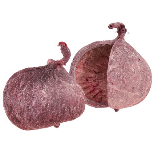 daiktų Budos riešutas raudonas baltas džiovintas natūralus dekoras Ø5,5–9,5 cm 5 vnt.