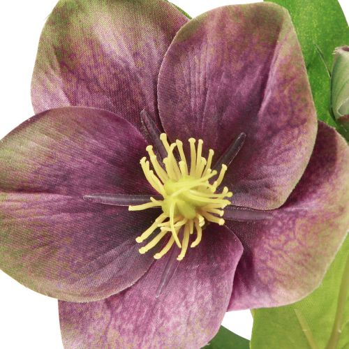 daiktų Kalėdinės rožės Dirbtinė sniego rožė Violetinė gėlė L35cm 6 vnt