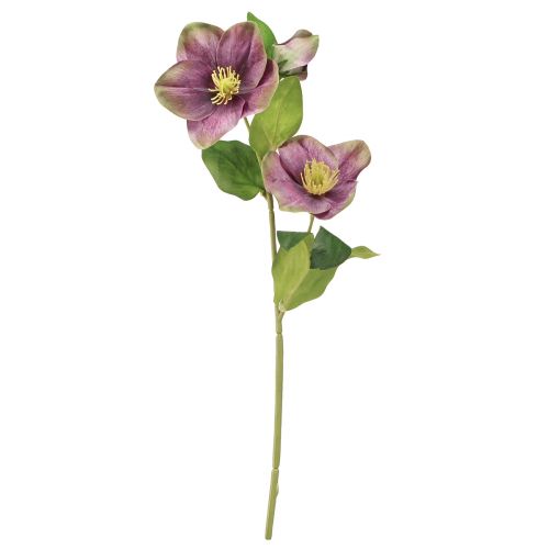 daiktų Kalėdinės rožės Dirbtinė sniego rožė Violetinė gėlė L35cm 6 vnt