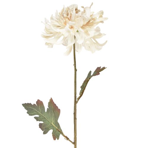 Floristik24 Chrysanthemum Dirbtinių dekoratyvinių gėlių kremas L72cm 2vnt