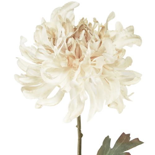 daiktų Chrysanthemum Dirbtinių dekoratyvinių gėlių kremas L72cm 2vnt