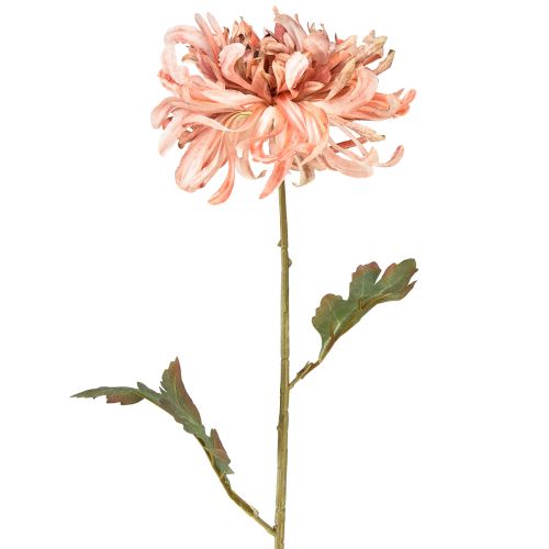 daiktų Chrizantemos Rožinė lašiša Dirbtinė Ø13cm L72cm 2vnt