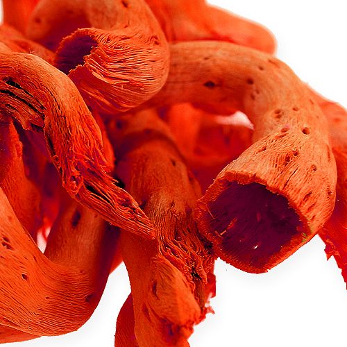 Floristik24 Apelsinų šaknys 350g