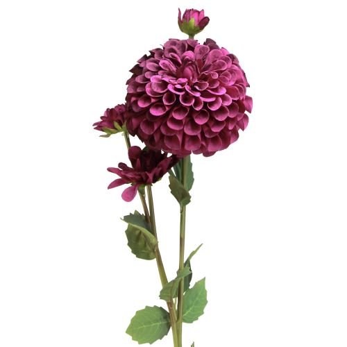 Floristik24 Dirbtinės jurginų gėlės su violetiniais žiedais Ø10cm L80cm 2vnt