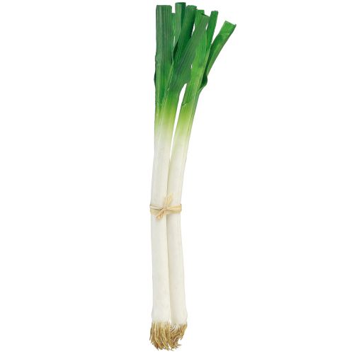 Floristik24 Dekoratyvinės daržovės laiškiniai svogūnai žalia balta Ø1cm L28cm 3 vnt