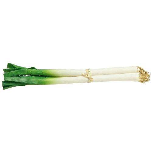 daiktų Dekoratyvinės daržovės laiškiniai svogūnai žalia balta Ø1cm L28cm 3 vnt
