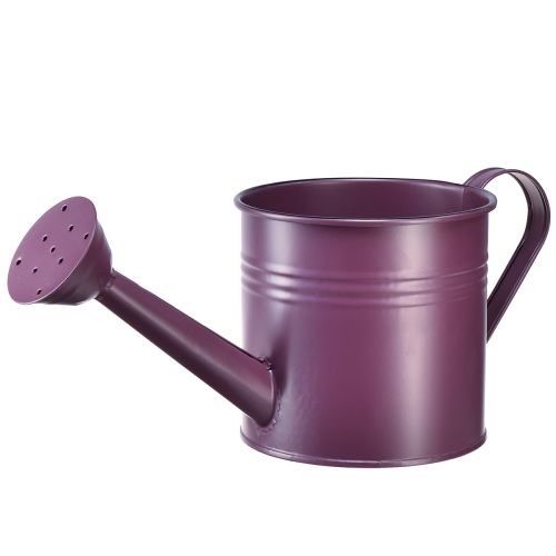 daiktų Dekoratyvinis laistytuvas violetinės spalvos metalinis vazonas Ø13,5cm H12,5cm