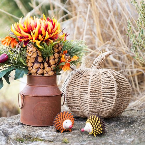 daiktų Dekoratyvinė moliūgų rafija natūrali kaimiška rudens puošmena Ø25cm H25cm