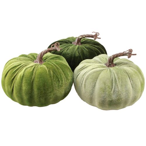 Floristik24 Deco moliūgas rudeninis žalias tamsiai žalias šviesiai žalias Ø18cm 3 vnt