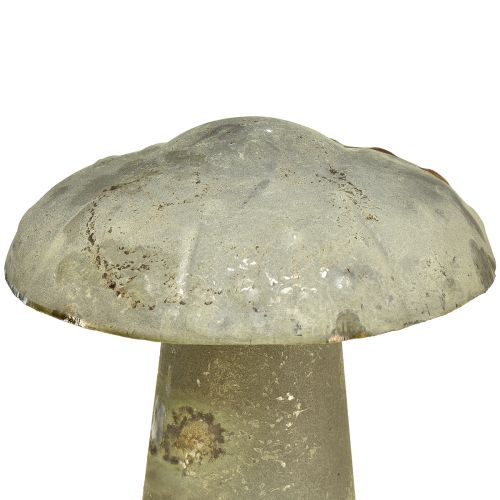 Floristik24 Dekoratyvinis Grybas Metalas Rudens Žalia Rust Vintage 30cmx50cm
