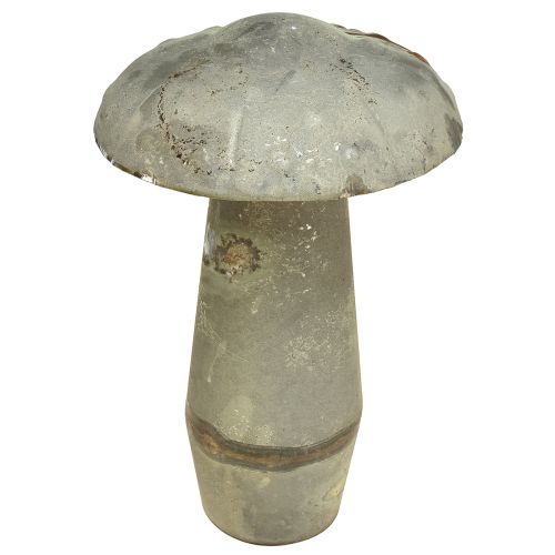 Floristik24 Dekoratyvinis Grybas Metalas Rudens Žalia Rust Vintage 30cmx50cm