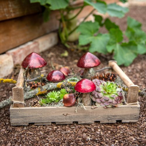 Floristik24 Dekoratyvinis grybų raudonas didelis stiklas rudens dekoras Ø14cm H23cm