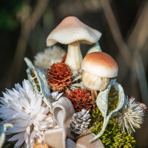 daiktų Dekoratyviniai grybai rudiems dekoratyviniams grybams klijuoti ruduo 3,5/5,5cm 16 vnt