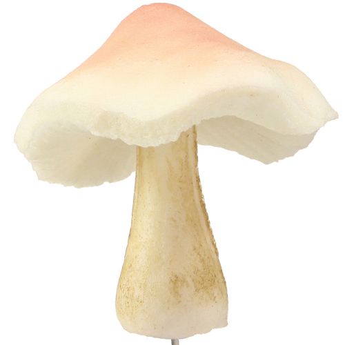 daiktų Dekoratyviniai grybai rudiems dekoratyviniams grybams klijuoti ruduo 3,5/5,5cm 16 vnt