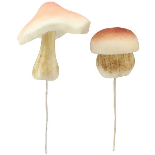 daiktų Dekoratyviniai grybai rudiems dekoratyviniams grybams klijuoti ruduo 3,5/5,5cm 16 vnt