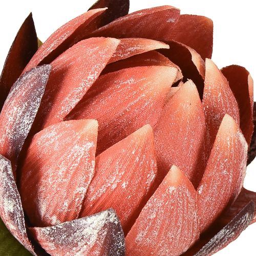 daiktų Dekoratyvinės dirbtinės gėlės Protea raudonai oranžinės 34 cm 3 vnt.
