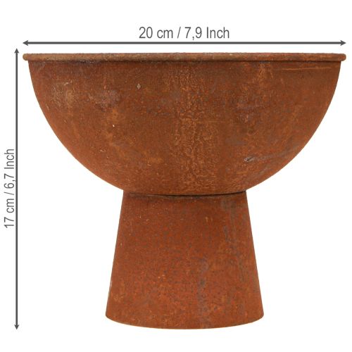 daiktų Dekoratyvinis dubuo su kojele, taurė-dubuo, rūdžių spalvos metalas, Ø20,5 cm, 2 vnt.