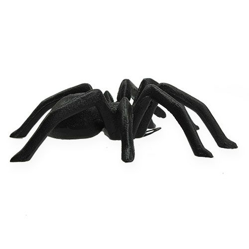 Floristik24 Voras tamsiai rudas 13,5 cm
