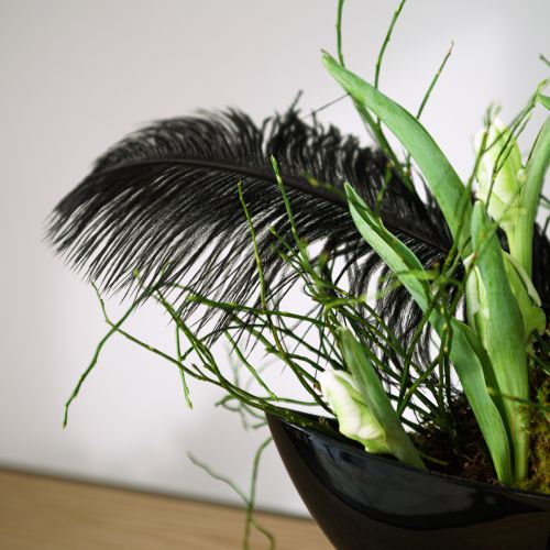 daiktų Dekoratyvinės stručio plunksnos juodos plunksnos 38-40cm 2 vnt