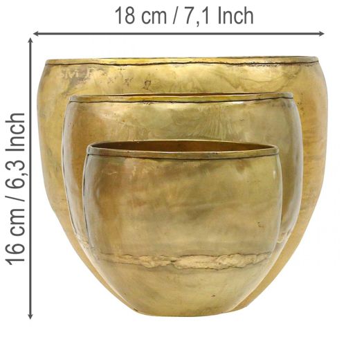 Dekoratyvinės vazos, žalvario imitacijos, metalinės vazos, Ø18/15/12,5 cm, 3 vnt. rinkinys | Floristik24.lt
