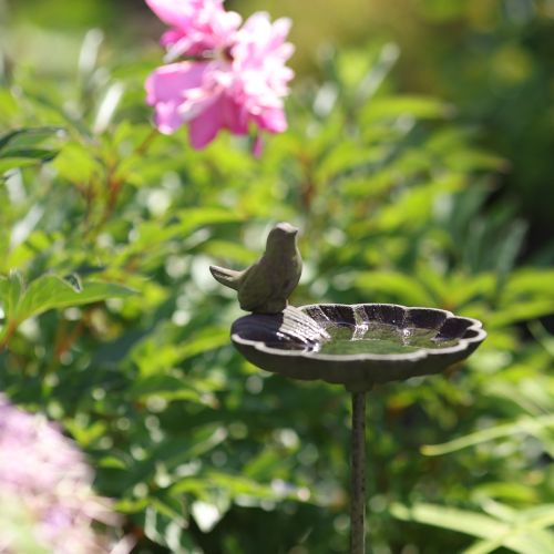 daiktų Dekoratyvinis paukščių maudyklės dubuo, metalinis, sendintos žalios spalvos, Ø16,5 cm, aukštis 34,5 cm