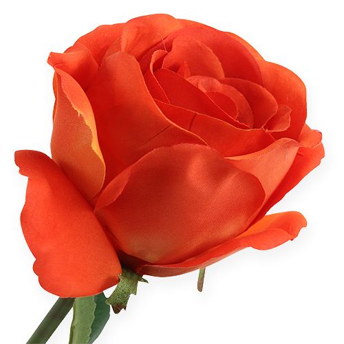daiktų Dekoratyvinės rožės oranžinės 32cm 6vnt