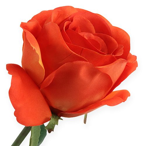 Floristik24 Dekoratyvinės rožės oranžinės 32cm 6vnt