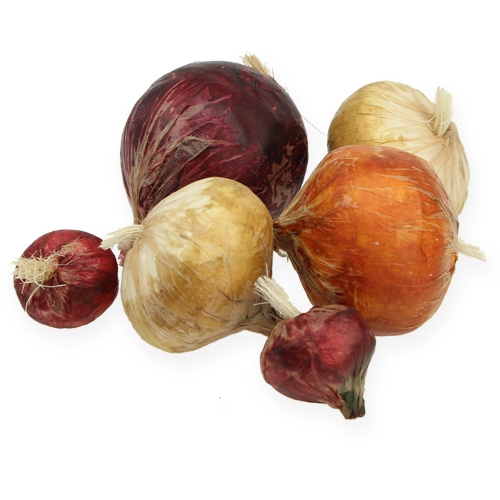 Floristik24 Dirbtinis svogūnas didelis ir mažas 14 vnt.