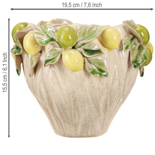 daiktų Dekoratyvinis keraminis vazonas – citrininis raštas pietietiškumui Ø19,5cm