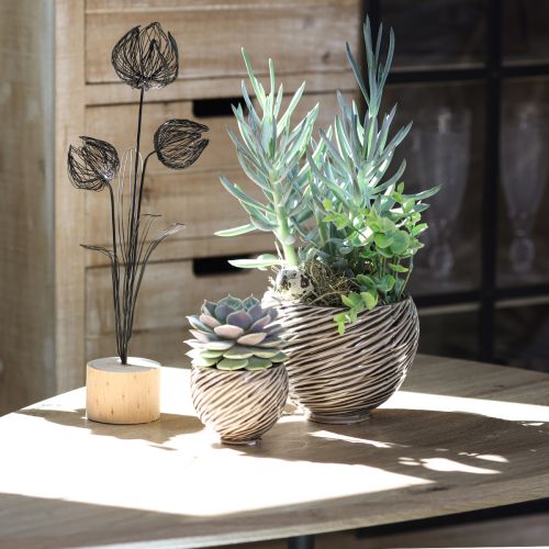 daiktų Dekoratyvinis dubuo Keraminis Spiralinis dekoras Beige Brown Ø9cm 4vnt