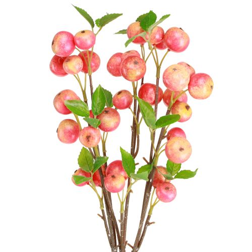 Floristik24 Dekoratyvinės šakelės dekoratyvinės obelis geltona/raudona rudens žiema L58cm 3 vnt