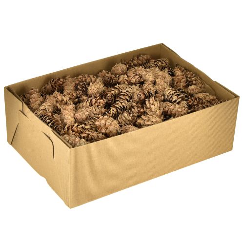 daiktų Douglas kūgiai 1,3 kg