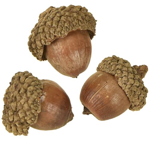 daiktų Gilės dekoravimui, rudens dekoracijai, natūraliems rudens vaisiams Ø1,5 – 2,5 cm I1,5 – 3 cm 300 g