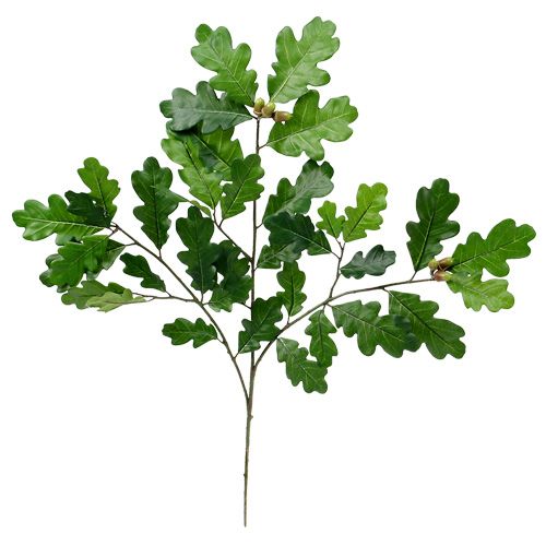Ąžuolo šakelė žalia 68cm