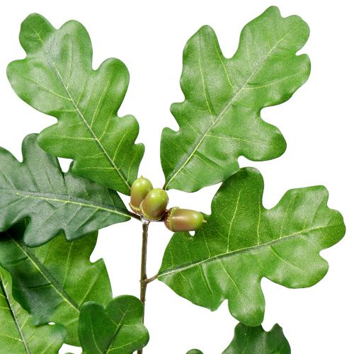 Floristik24 Ąžuolo šakelė žalia 68cm