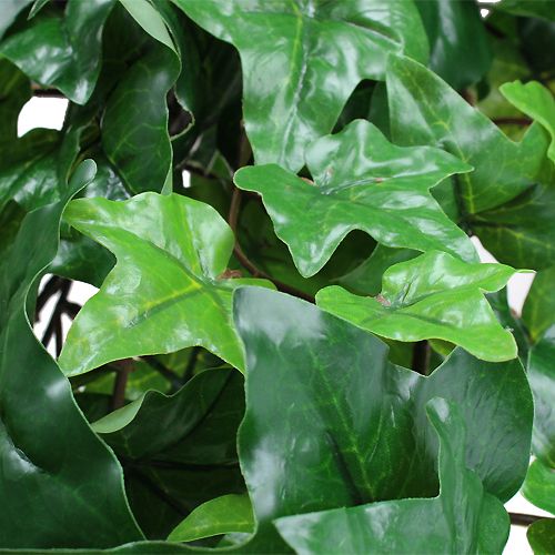 Floristik24 Dirbtinės gebenės real-touch žalia 84cm