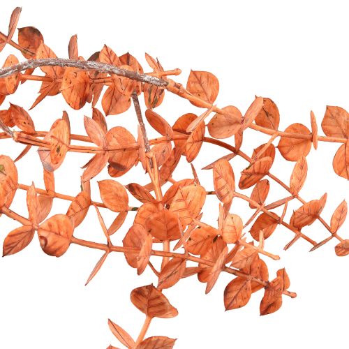 daiktų Dirbtinio eukalipto kabykla rudens eukalipto oranžinė 150cm