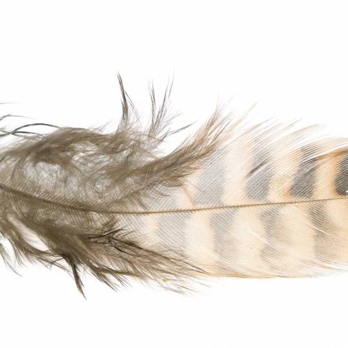 Floristik24 Plunksnos natūralios 4,5 - 9cm 20g