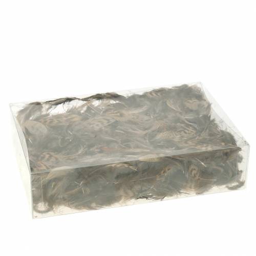Floristik24 Plunksnos natūralios 4,5 - 9cm 20g