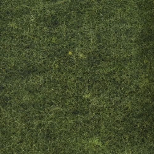 daiktų Veltinio juosta vilna juostelė craft veltinio veltinio ritinėlis tamsiai žalias 15cm 5m