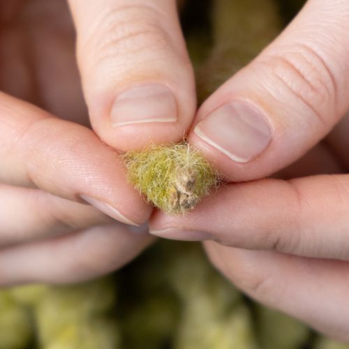 daiktų Pūkuotas „Mirabell“ veltinio siūlas, vilnonis, žalias, 25 m dekoratyvinė juostelė floristikai, dekoravimui, rankdarbiams, „pasidaryk pats“