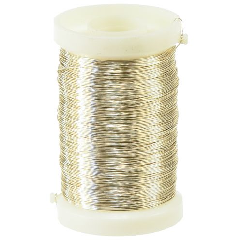 Floristik24 Floristinė viela mirtų vielos šampanas 0,30mm 100g 3 vnt