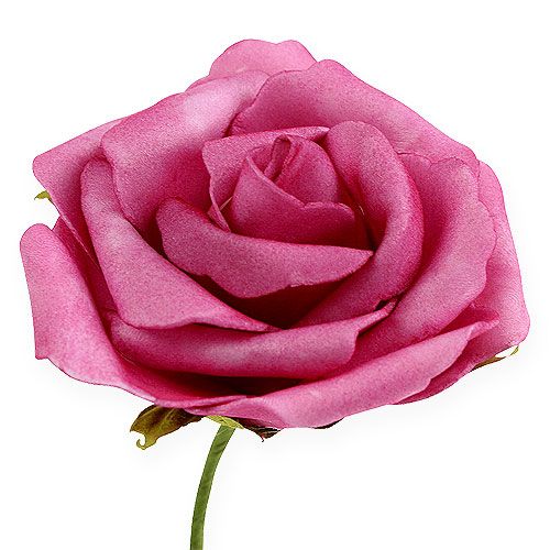 Floristik24 Putplasčio rožė Ø 8cm fuksija 18 vnt